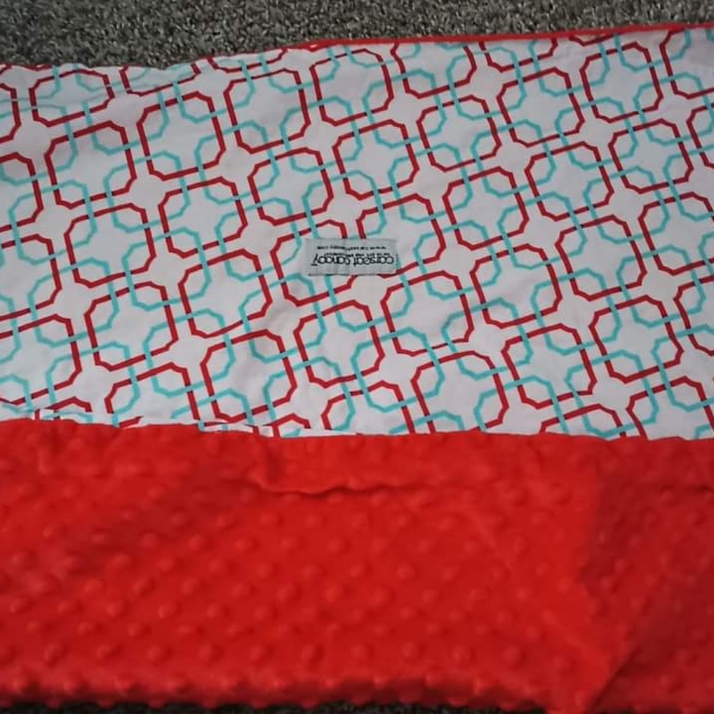 Car seat Canopy